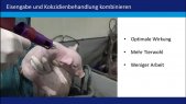 Eisengabe und Kokzidienbehandlung kombinieren